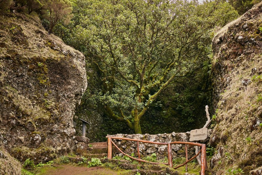 Beautiful pathway among mossy rocks