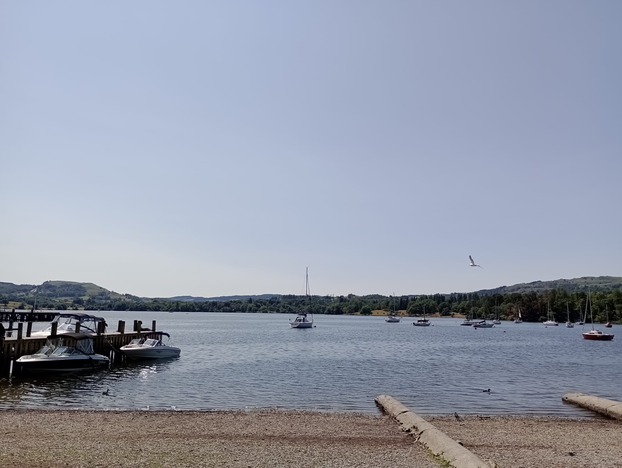 Coniston to Ambleside (via Tarn Hows)