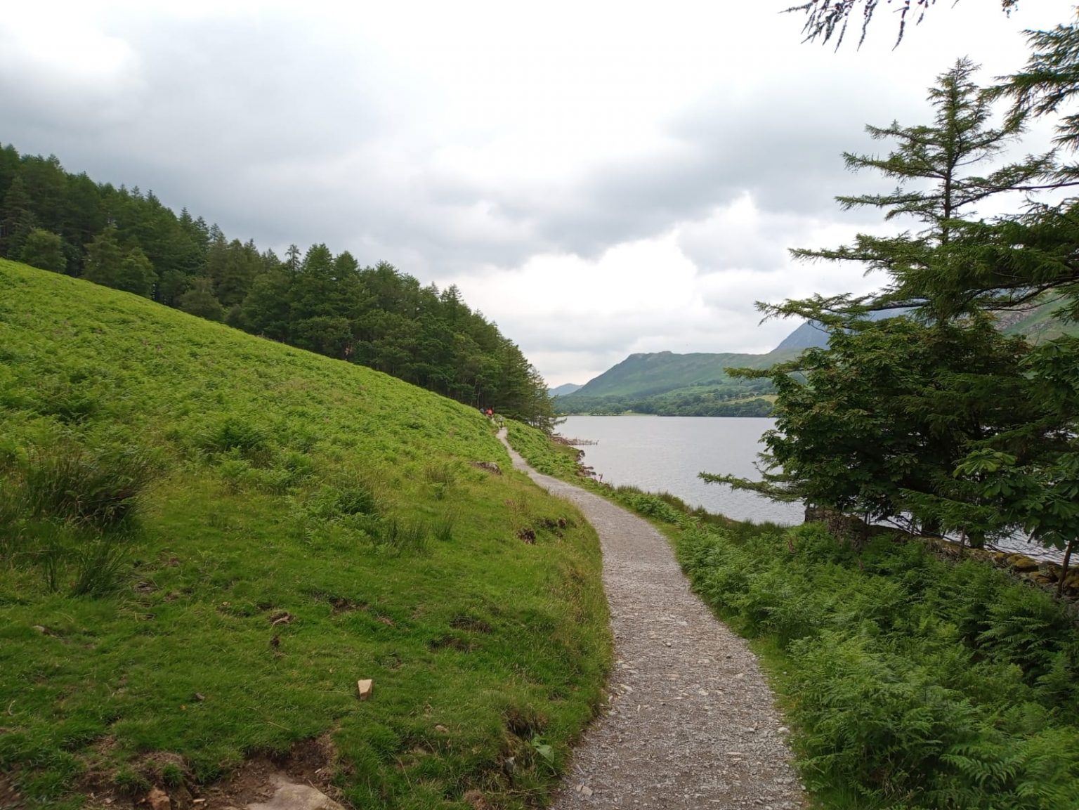 Easy Walks In The Lake District