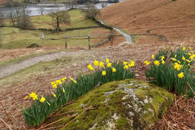 From gentle family trails to challenging hillside climbs, Windermere’s countryside has a hike for everyone.