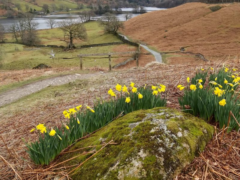 From gentle family trails to challenging hillside climbs, Windermere’s countryside has a hike for everyone.