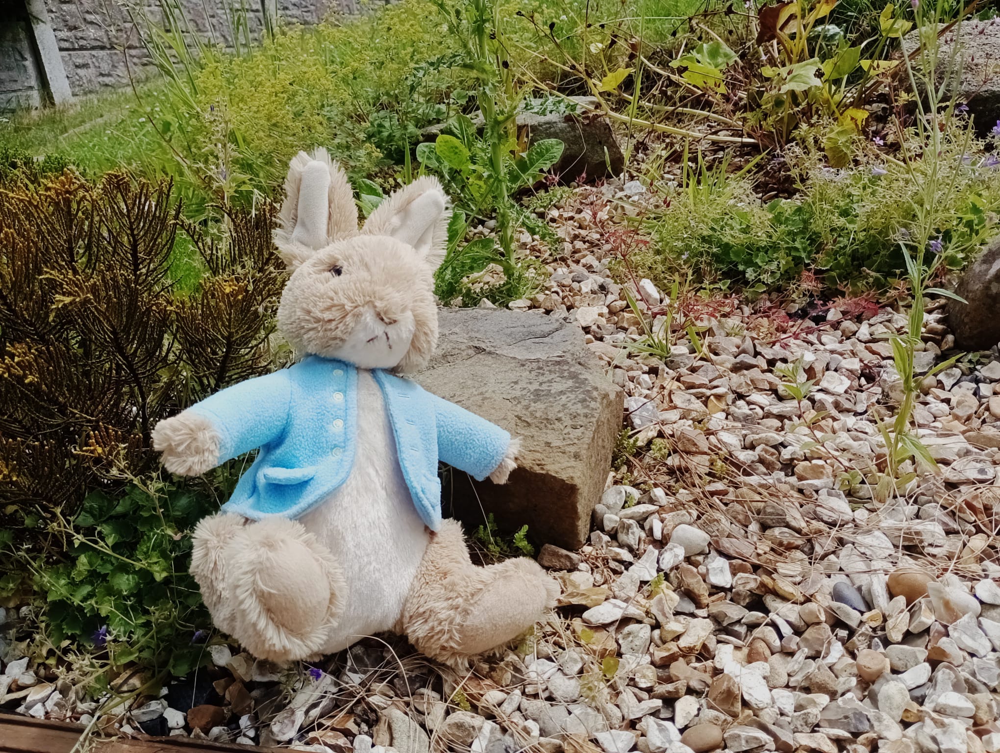 Peter Rabbit was officially the first fictional character to be made into a stuffed toy in 1903, making him the first ever licensed character