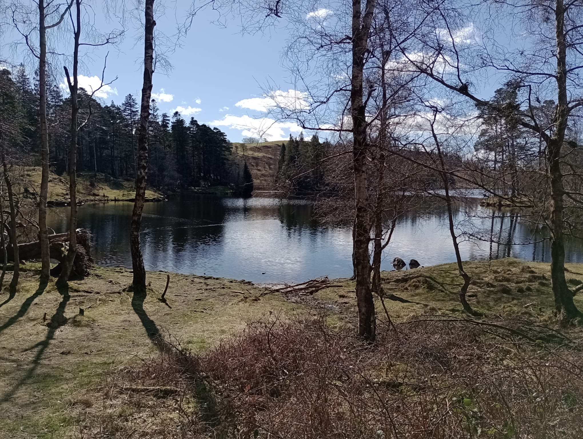 Tarn Hows Walk Guide