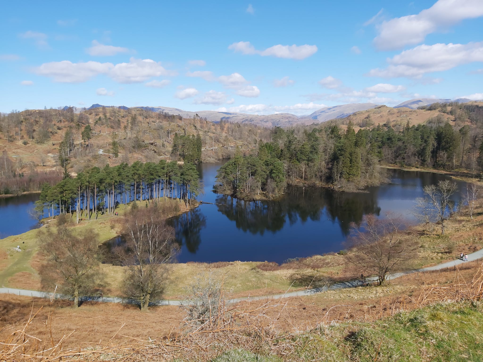 Tarn Hows Walk