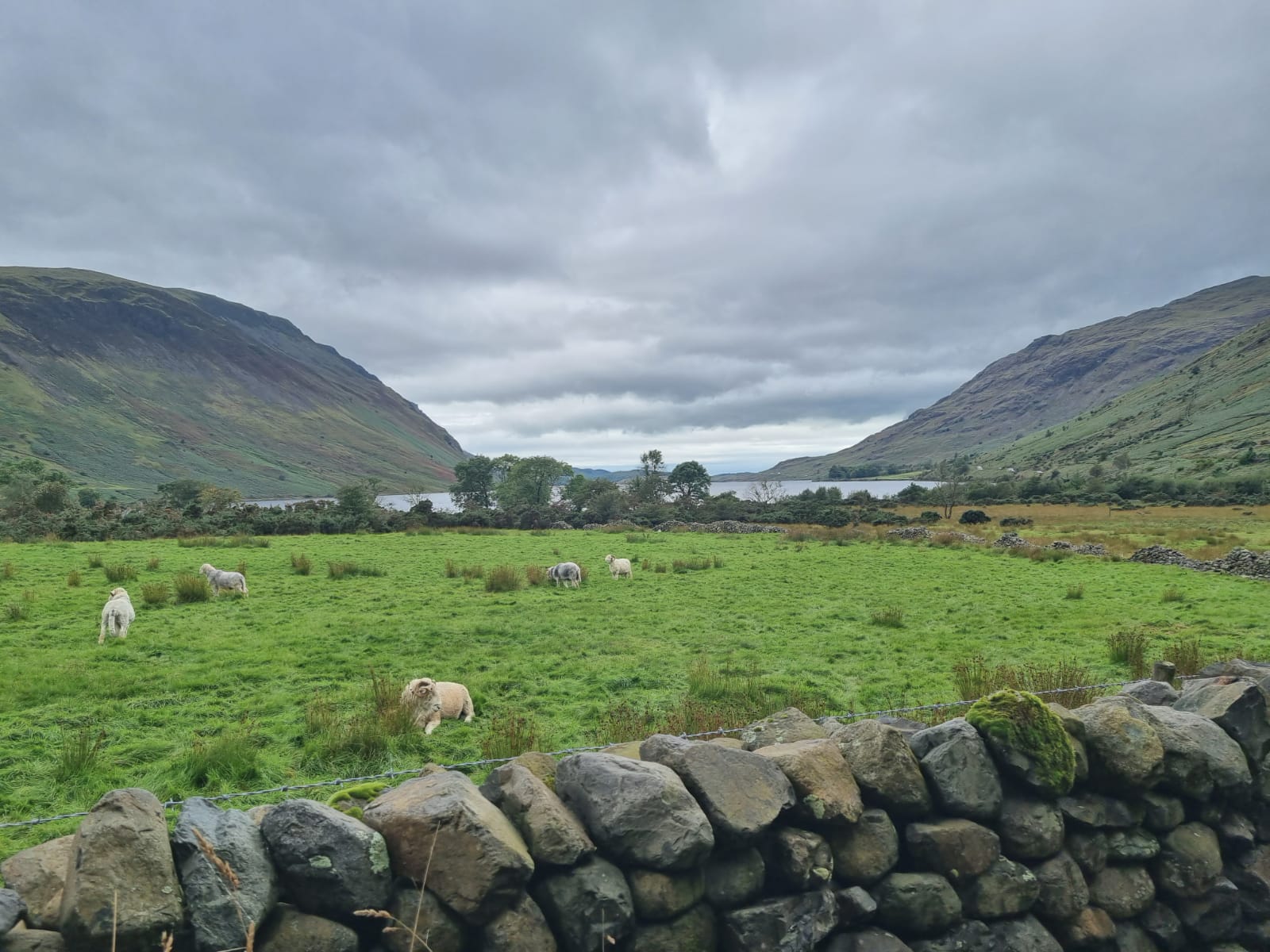 The distinctive landscape of the Lake District is the result of ancient volcanic activity and glacial movements.