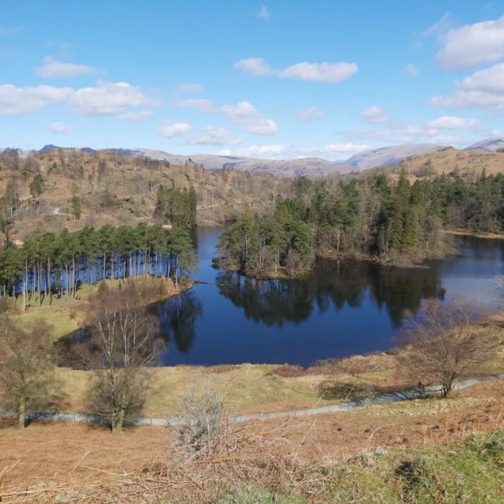 Try one of the many walks surrounding Windermere Lake