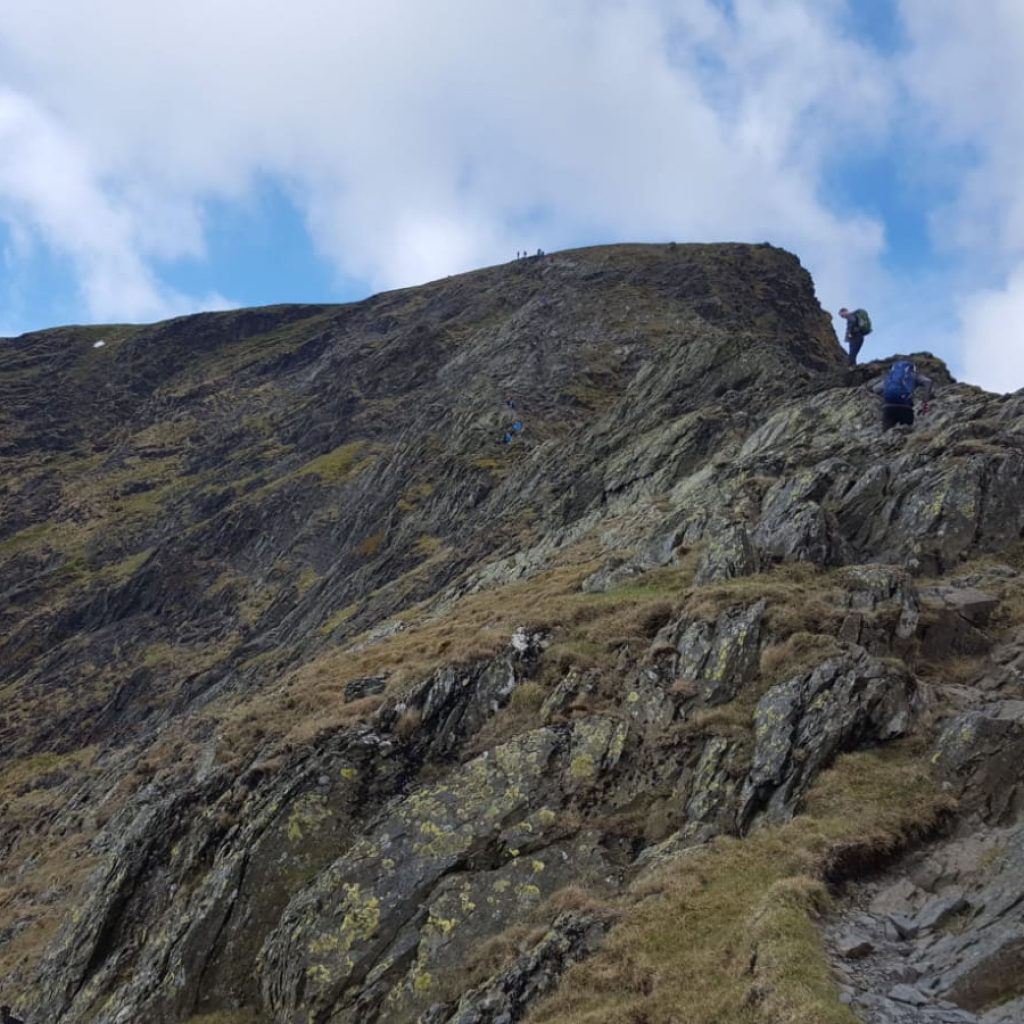 this climb into grade 2 territory.