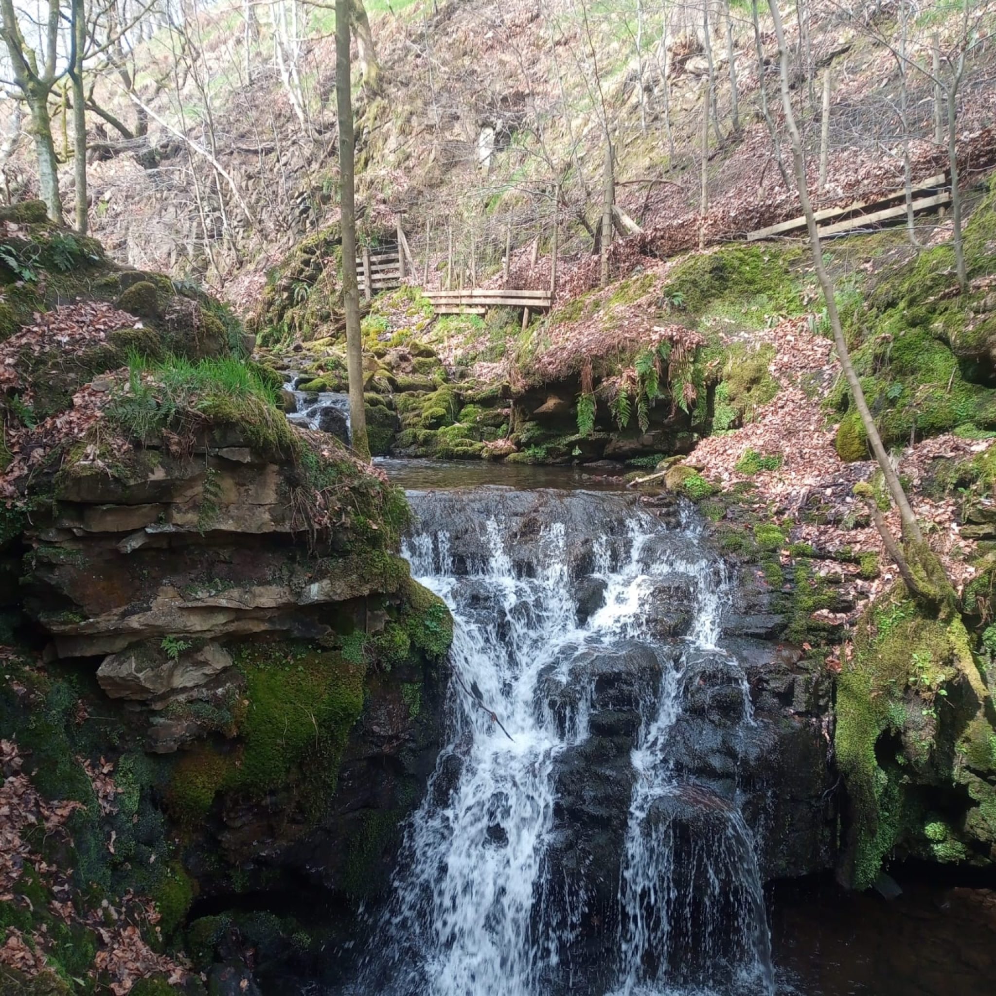 Gorpley Clough