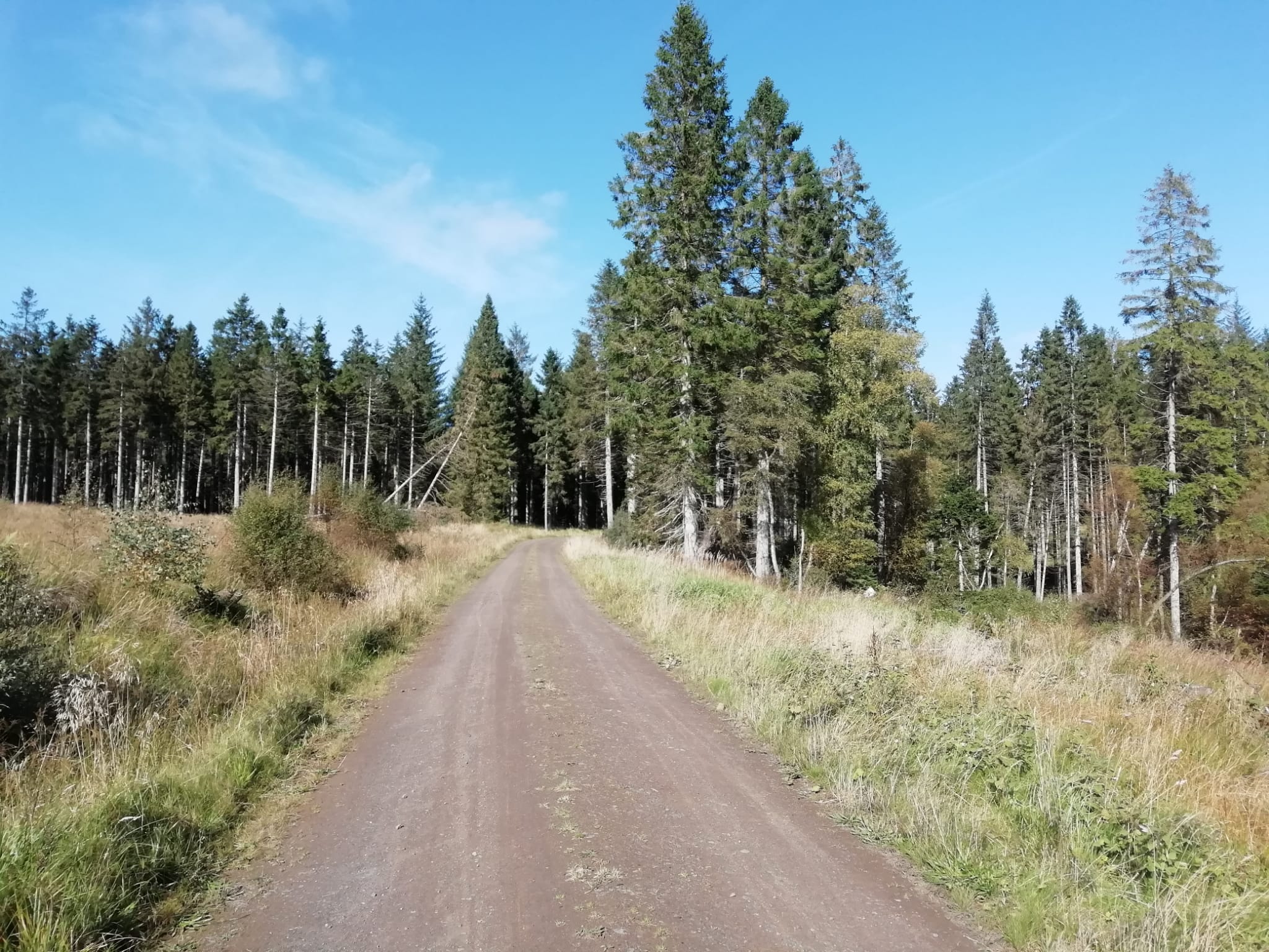 Mountain biking