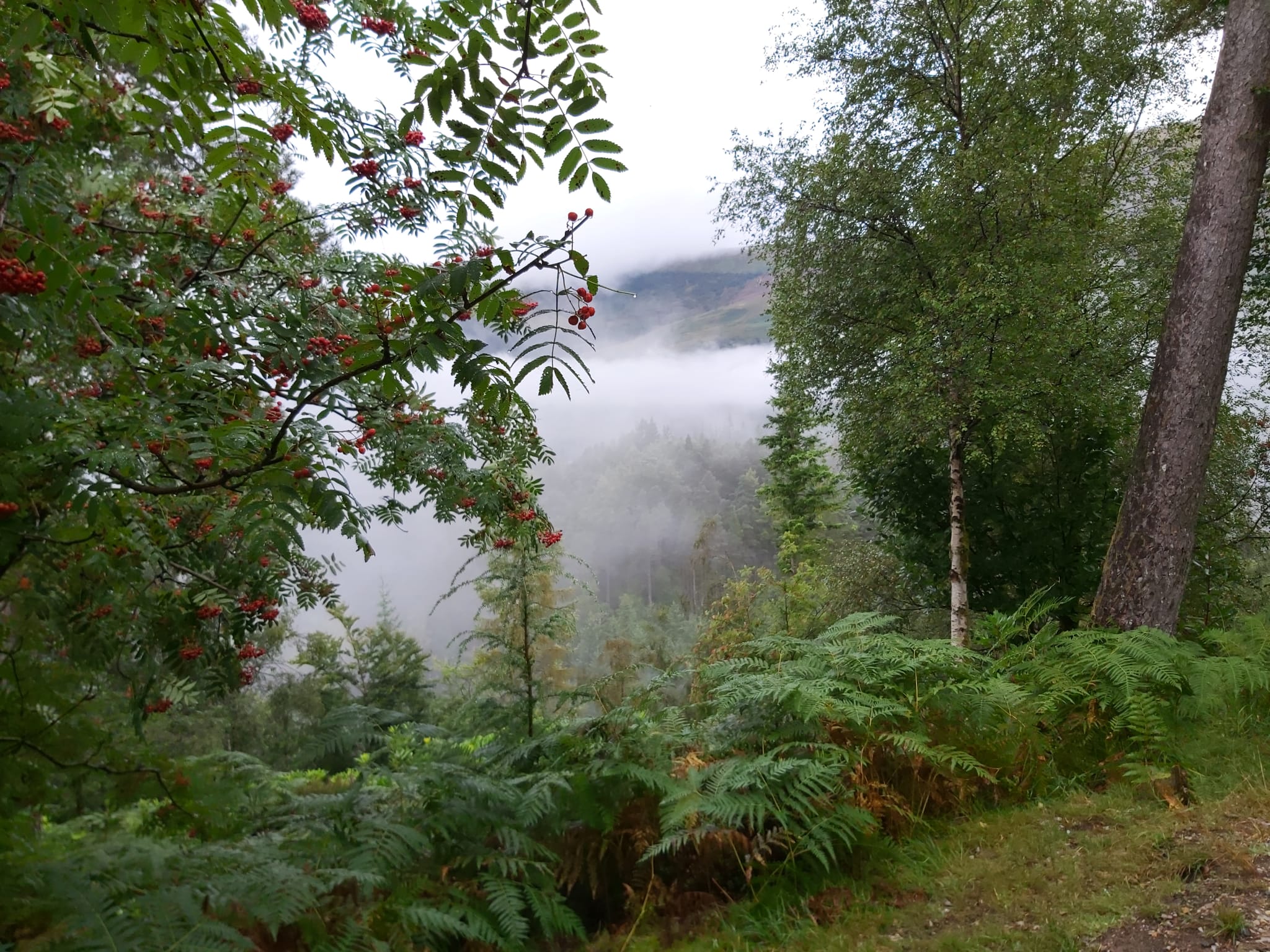 On the Glencoe Lochan Mountain Trail