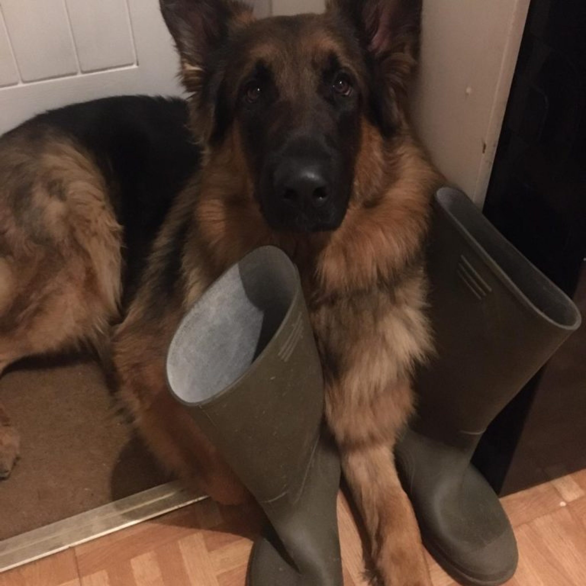 Waiting for his walkies